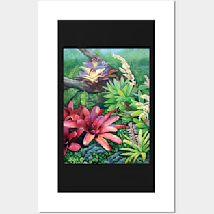 Bromeliacious Posters and Art